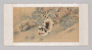ポピーと蝶と猫の掛け軸（上部） 作： Yun Bing