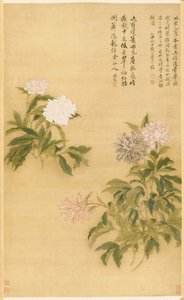 牡丹、1685年。 作： Shouping Yun