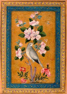 開花枝にとまる鳥、1696年。