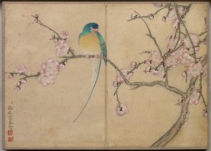 卓上帖 花鳥画（梅に鳥） 作： Zhang Ruoai