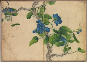 卓上アルバム 花鳥画（青い花に登る） 作： Zhang Ruoai