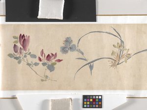 カラーフラワー 作： Zhimian Zhou