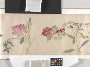 カラーフラワー 作： Zhimian Zhou