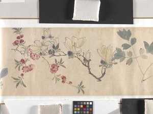 カラーフラワー 作： Zhimian Zhou
