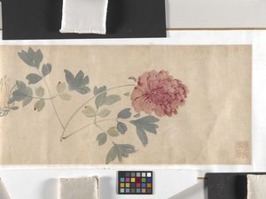 カラーフラワー