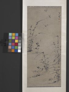 湿地の草の 12 羽の白鷺 (紙にインク) 作： Zhu da Bada Shanren