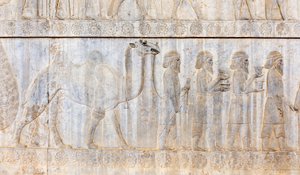 アケメネス朝の古代レリーフ、ラクダを連れたパルティア人の代表団、アパダナ宮殿、遺跡、ペルシャの古代都市ペルセポリス、ユネスコ世界遺産、ファールス州、イラン、アジア