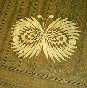 小麦畑のクロップサークル（Hailey Wood, Ashbury, Oxfordshire