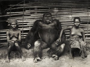 ゴリラ（ゼラチンシルバープリント 作： Hippolyte Lalaise Devéria