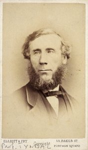 John Tyndall, アイルランドの物理学者, 1875年頃 作： Frederick (attr. to) Barnard