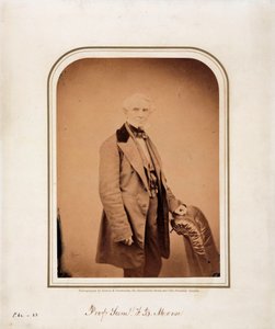 サミュエル・F・B・モース（アメリカの芸術家、モールス信号の発明者）1870年頃 作： Frederick (attr. to) Barnard