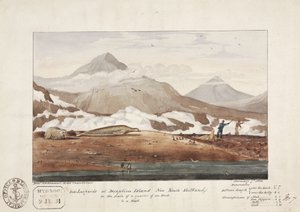 ニューサウスシェットランド、ディセプション島の海豹」、1月7日 作： John Pardon