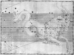 山羊座（Capricornus）とは 作： Frederick (attr. to) Barnard