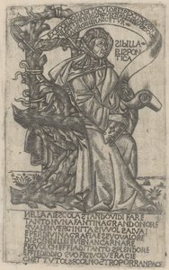 ヘレスポントスのシビュラ 作： after Baccio Baldini