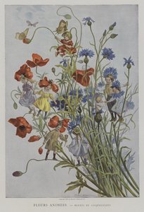 フルールAnimees。 Bluets et Coquelicots。 （生花：ヤグルマギクとポピー）