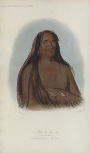 Mah-to-toh-pa、The Four Bears、2nd Chief of the Mandans（アクアチント） 作： after George Catlin