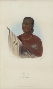 Nah-Pope、The Soup、A Sac Warrior（アクアチント） 作： after George Catlin