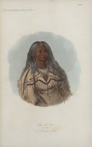 シャコカ、ザミント、マンダンガール（アクアチント） 作： after George Catlin