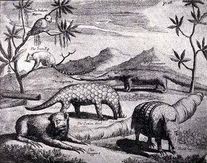 初期の芸術家が描いた北川プレートの生き物、ニーアホーフスの航海と旅行、川プレートのロマンス、Vol。私、WHケーベル作、1914年 作： after German School