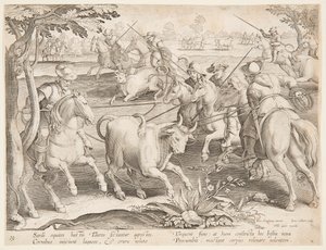 野生の雄牛の捕獲 作： after Jan van der Straet, called Stradanus
