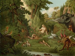 イブの創造 作： Johann Elias Ridinger or Riedinger