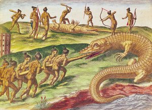 狩猟ワニ、「ブレビスナラティオ...」、セオドアドブライ発行、1591年（カラー彫刻） 作： after Le Moyne, J.Bry