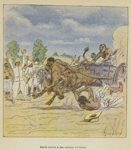 Lefebvre車に利用されたOxen 作： after Louis Charles Bombled