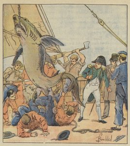 サメの捕獲 作： after Louis Charles Bombled