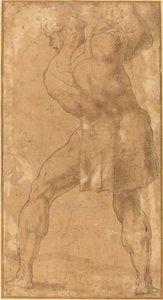 男の姿 作： after Polidoro da Caravaggio