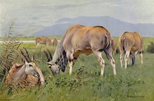 エランド 作： after Wilhelm Kuhnert