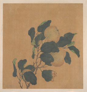 実をつけた木の枝 作： 匿名