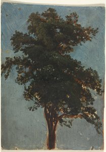 木の研究 作： attributed to Alexandre Calame