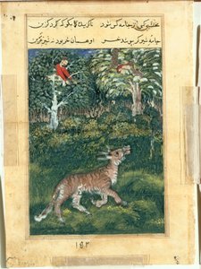 トラの皮を被ったロバは、ツチナマ (オウムの物語) から、大声で鳴き声を上げて自分のアイデンティティを明らかにします: 三十一夜