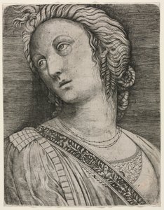 女性のバスト 作： attributed to Jacopo de