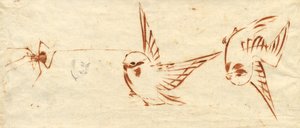 鳥とクモのスケッチ ページ