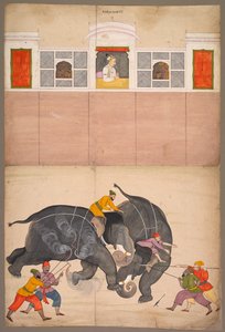 ムハンマド・シャーの前の中庭で戦う2頭の象 作： attributed to Nainsukh