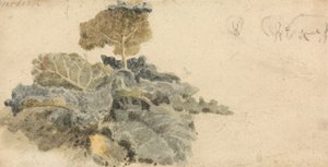 ごぼうの研究 作： attributed to Peter DeWint