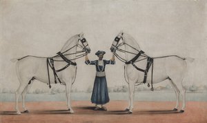 馬車馬を 2 頭持つサイスの新郎。 1845年。 作： attributed to Shaikh Muhammad Amir of
