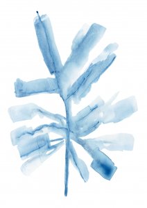  作： cartissi