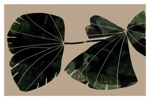 「緑の葉」の抽象画 作： cartissi
