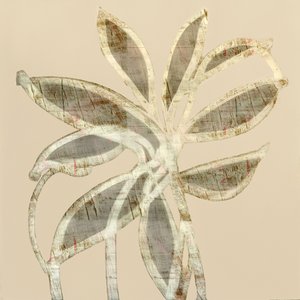 抽象的な質感の葉 作： 