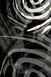  作： cartissi