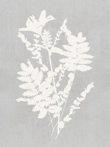 植物のシルエット研究 作： cartissi