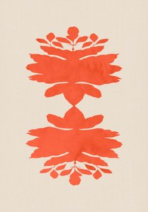 サンゴの植物学的対称性 作： cartissi