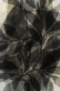 濃く重なり合う葉 作： cartissi