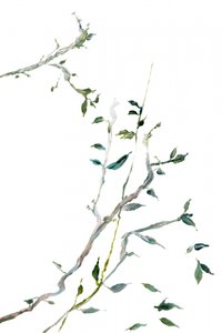 繊細な緑の枝 作： cartissi