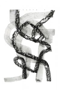  作： cartissi