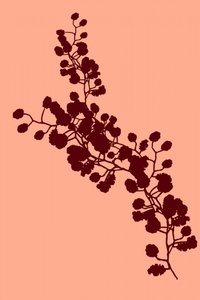 優雅な花のシルエット 作： cartissi