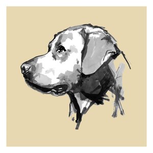 表情豊かな犬のプロフィール 作： cartissi
