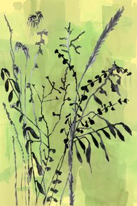 緑の植物のシルエット